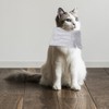Cat Neck Brace, Breathable & Adjustable Cone Collar After Surgery