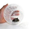 Hamster Exercise Ball Silent Hamster Wheel Small Animals Transparent Ball