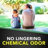 Raid House & Garden Insect Killer Spray, Kills Listed Ants,