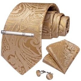 DiBanGu Paisley Ties for Men Silk Necktie and Pocket Square Cufflinks Tie Clip Set Woven Classic Mens Tie for Wedding Party, Champagne