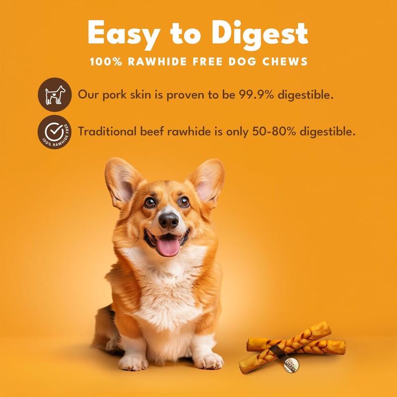 Pork Chomps Roasted Pork Skin Dog Chew, 10-inch Braid, 1