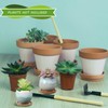BBTO 6 Set Mini Succulent Pots Bulk with Drainage and