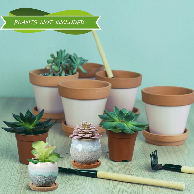 BBTO 6 Set Mini Succulent Pots Bulk with Drainage and