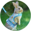 MMmall Rabbit Harness Lead, Rabbit Supplies, Rabbit Harness, Rabbit, Clothing,