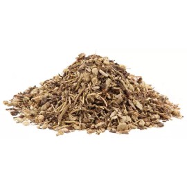 NY Herb Shop WHOLESALE!! Gravel Root Herb Wild Crafted Bulk Herb - 4oz