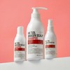 Hesol Hair loss symptom relief Haesol Anagen Shampoo Tonic Set