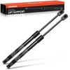 A-Premium Front Hood Lift Supports Shock Struts Compatible with Aston