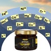 Nature Blaze Himalayan Shilajit Resin (30 Gm / 1.0 Oz)