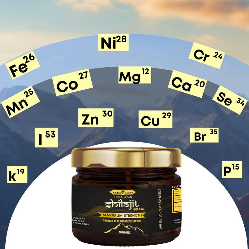 Nature Blaze Himalayan Shilajit Resin (30 Gm / 1.0 Oz)