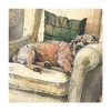 ALEX CLARK Walter Border Terrier Dog Fridge Magnet - Sleeping