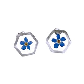 Real Pressed Forget me not Silver Hexagon shape Surgical Steel Stud Earrings, Myosotis Flower Jewellery, Nature jewellery, Botanical Earrings, Floral Jewellery,