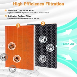 IZSOHHOME Compatible with Winix C555 Air Cleaner Purifier,116131 True HEPA Replacement Filter,H13 Grade True HEPA Filter,Compares to 116131 Filter I (2 Set)