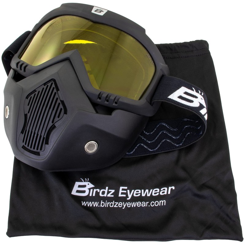 Birdz Eyewear Skylark Motorcycle Goggles Removable Face Mask Black Frames