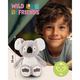 NICI Cuddly Toy Koala Barry 35 cm - Grey - Soft Plush Toy - Cute Plush Toy for Cuddling and Playing, for Children and Adults, Great Gift Idea - 61718