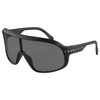SWANS SNOWFIELD F3 SF-05 MBK Sports Sunglasses, Photochromic Lenses, Matte