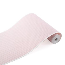 Bionet Ecg Cardiocare 2000 y Cardiotouch 3000 EcgPapel ECG de 215 mm x 25 metros (5 rollos)
