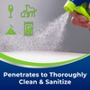 BISSELL Woolite® Advantage Pet Stain & Odor Remover + Sanitize,