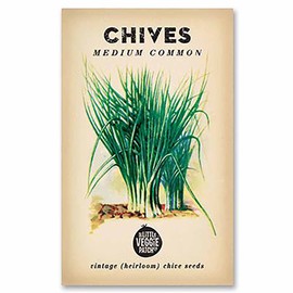 The Little Veggie Patch Co Chives Heirloom Seeds, 1 pack