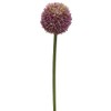 21.5" Allium Spray Lavender (Pack of 12)