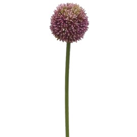 21.5" Allium Spray Lavender (Pack of 12)