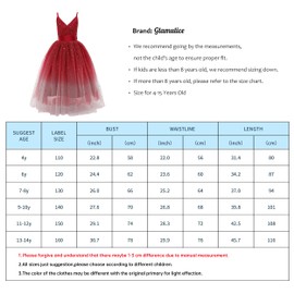Glamulice Princess Costume Sparkle Tulle Sequin Dress Burgundy Flower Girls Ombre Dresses Champagne Lace Bridesmaid Party Wedding Pageant Maxi Holiday Ball Gown 7 8 Wine Red Ball Gown Evening Event