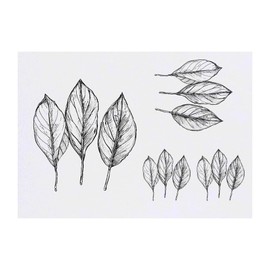 Azeeda 4 x 'Drei Blätter' Temporäre Tattoos - Wasserfest, Hautfreundlich & Ungiftig · Transfers in Verschiedenen Größen (TO00073170)