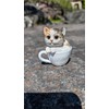 Teacup Dog and Cat Series (Triltoise Cat)