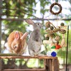 15PCS Rabbit Toys for Bunnies Boredom Enrichment with Wooden Guinea
