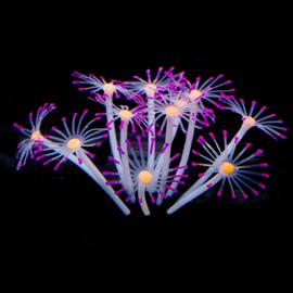 FUNOJOY Glowing Fish Tank Decorations Aquarium Coral Plants, Simulation Silicone Coral, Fluorescence Sea Anemone, Glow Coral Ornaments for Aquarium Fish Tank Decor Aquarium Accessories