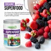 Greens+ Organic Superfood Wild Berry | Non GMO | Vegan