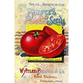 A SLICE IN TIME 1894 Philadelphia Pennsylvania Burpee Tomato Vintage Vegetable Seed Packet Catalogue Travel Advertisement Poster
