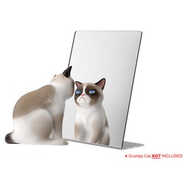 Marketing Holders 5"W x 7"H Acrylic Mirror Easel Value Pack of 6 Slant Back Stand Perfect for Makeup or Hair Styling Safe Plastic