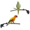 Bird Perch Stand 2 PCS, Parrot Perch Stand with Strong