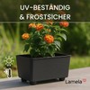 Lamela Rectangular Planter with Elegant Feet, Black Flower Pot Made