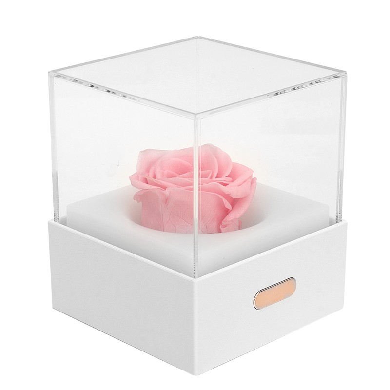 Rose Night Light Romantic Small USB Charging Soft Brightness Decoration