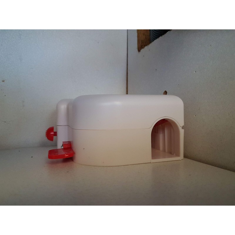 The Big Cheese Sealed and Safe Mouse Trap - Mouse