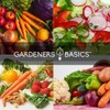 Gardeners Basics Winter, Fall, and Spring Vegetable Seeds for Planting