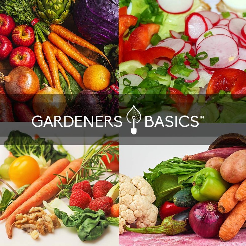 Gardeners Basics Winter, Fall, and Spring Vegetable Seeds for Planting