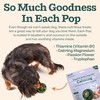 WOOF Pupsicle Refill Pops for Calming - Calming Dog Treats