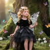 HuaMuDM Fairy Wings Costume, Princess Wings, Wings Fairy, Butterfly Wings