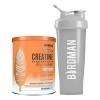 Birdman Creatina Con Electrolitos Y Magnesio Shaker 600ml