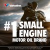 Valvoline 4-Stroke Motorcycle SAE 20W-50 Motor Oil 1 QT, Case