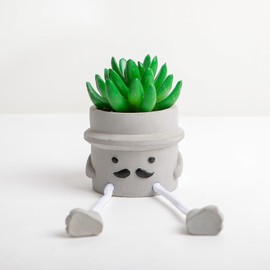 Zentoroi Creative Artificial Succulents, Mini Potted Succulents with Gray Flower Pots for Home Office Desk Decor and Gift Choice (3)