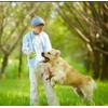 Pelotas de Goma para Perros con Dispensador de Comida, Set