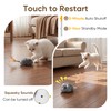 Pawthquake Moving Cat Toy Cat Mouse Toy with Automatically Wagging