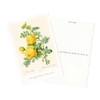 Ludote Rosa Sulflare Women's Glasses Case, Yellow, One Size, yellow
