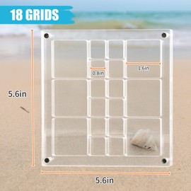 Seashell Display Box, 5.6x5.6x0.6in Large Size Acrylic Magnetic Seashell Display Case, 18 Grids Mini Seashell Collection Display Box