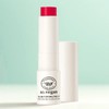 Anjumain Saw Vegan Salbutter Melting Lip Balm 05 Clear Apple × 3.8g × 1 / 쏘비건 살버터 멜팅 립밤 05 클리어 애플 × 3.8g × 1개