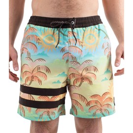 Hurley Men's Phntm Eco Block Party Volley 17 Board Shorts