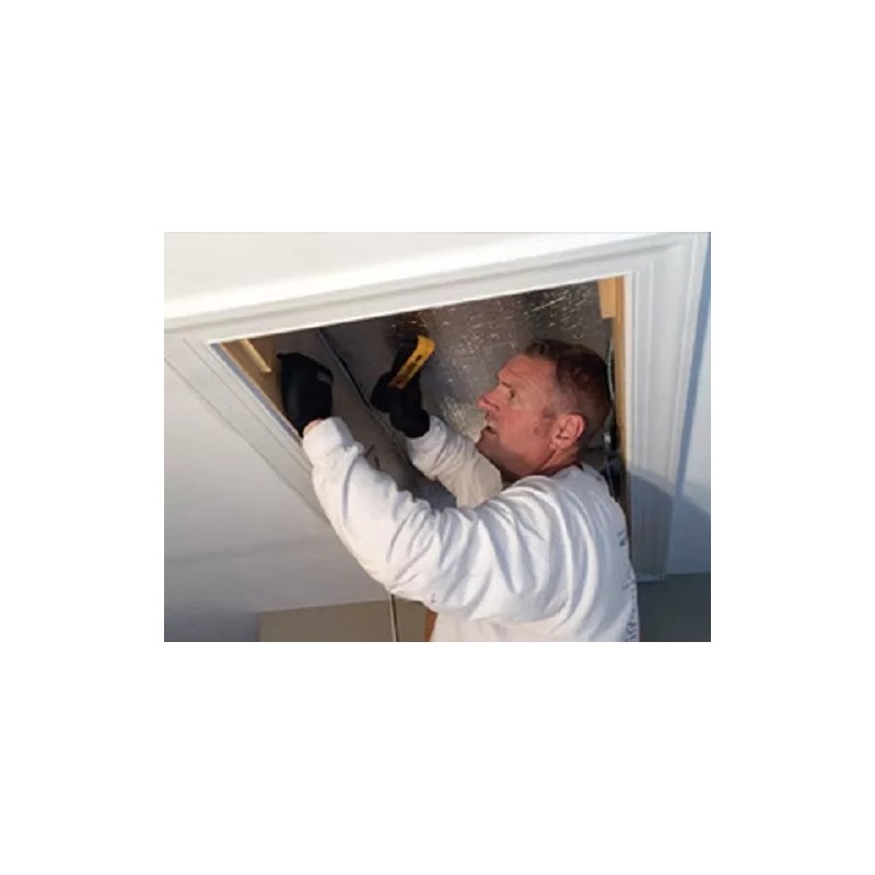 IES 25 x 54 x 9 Attic Access Door, Pull